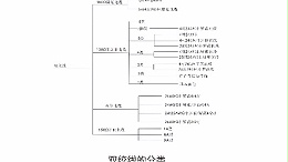 高清LED显示屏